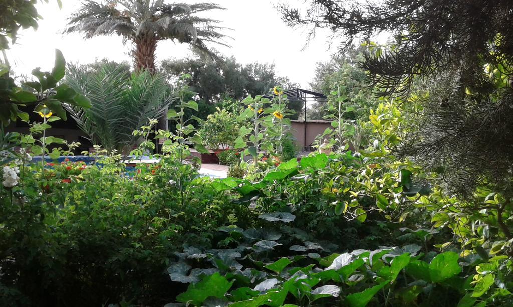 Bassatine Skoura Bed & Breakfast Dış mekan fotoğraf
