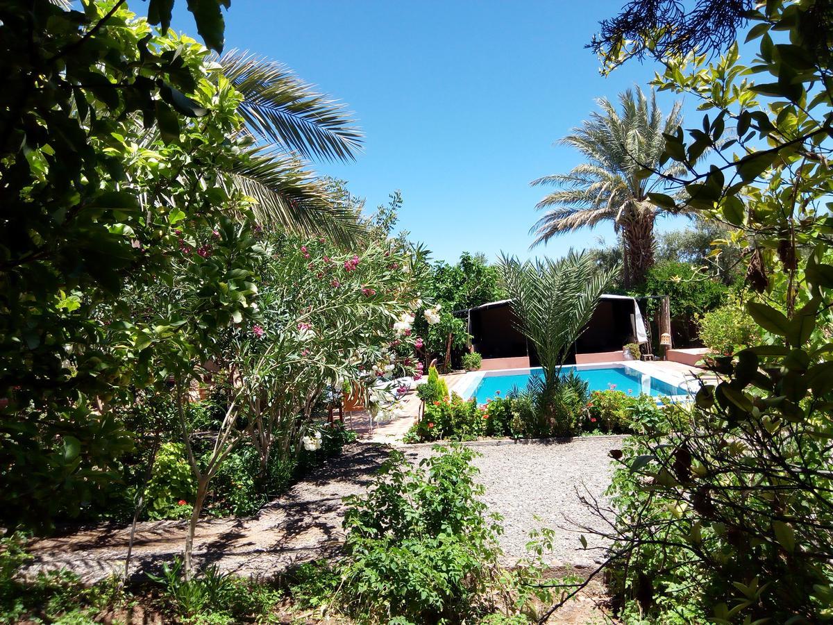Bassatine Skoura Bed & Breakfast Dış mekan fotoğraf